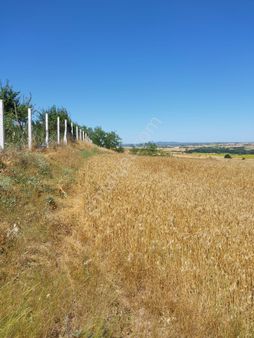 Tapar'dan Satılık Tekirdağ Saray Çukuryurt 1.220m2 Hisseli Arsa