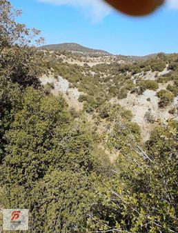 Köprübaşı'ında Satılık Tarla