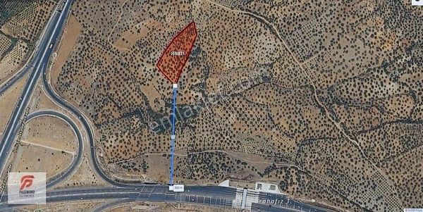 Bergama Zeytindağ Da 385 M² Yatırımlık Hisseli Zeytinlik