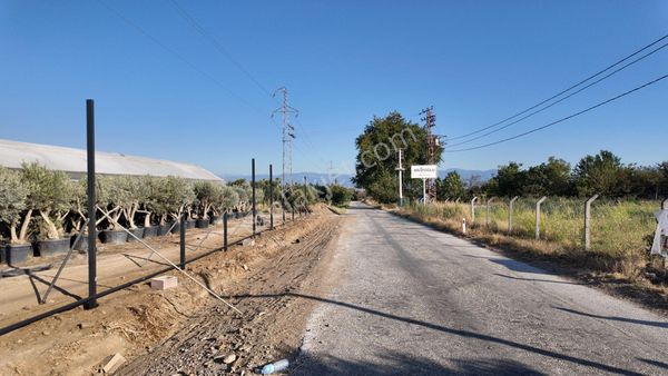 İzmir Bayındır Karahallide Satılık Anayola Yakın Tarla