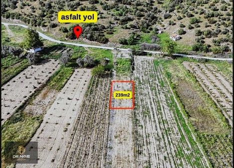 Süleymanlı Piknik Alanın Arkasında 239m2 Hobi Bahçesi