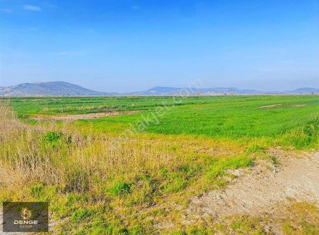 Foça Yenibağarasında Sahibinden Satılık Bölgenin En Ucuz Tarlası