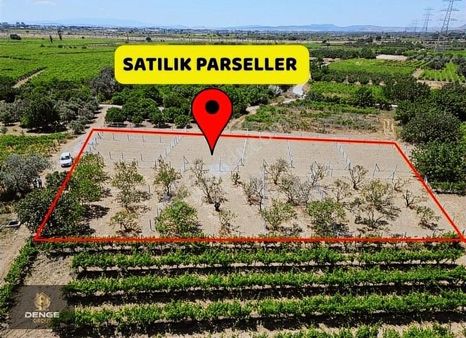 Haykıranda 327m2 Verimli Mandalin Bahçesi
