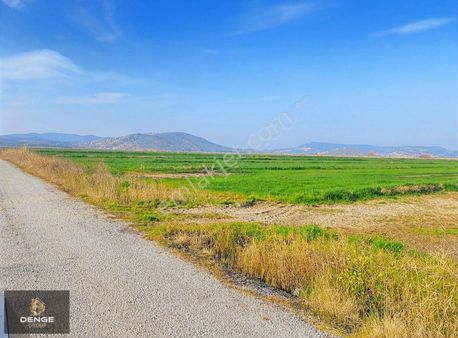 Foçada 346m2 Tarla Görülmemiş Fiyattan Satılık