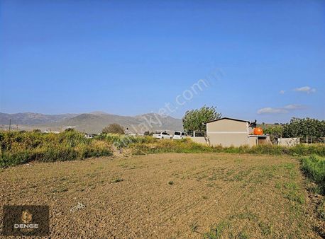 Türkellide Asfalt Üstü 205m Satılık Bahçe