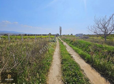 Menemen Belende 1 Dönüm Bahçe Yatırım Ve Keyif Bahçesi