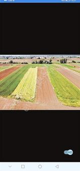 Sakızköyde Muhteşem Konumda İmara Yakın 3151 M2 Tarla