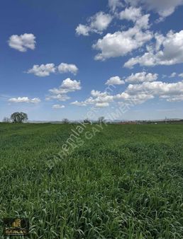 Edirne Lalapaşa Da İmarlı 1705m2 Satılık Arsa