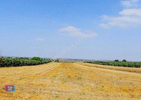 Dialog Skala Dan Karacabey İsmetpaşa Da Satılık Tarla