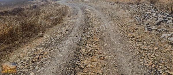 Acil İstanbul Silivri Değirmenköy Sahibinden Satılık 255m2