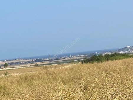 İstanbul Silivri Kadıköy Sahibinden Satılık 127m2 Arsa