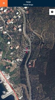 Kapaklı Satılık Zeytinlik 2 Parça