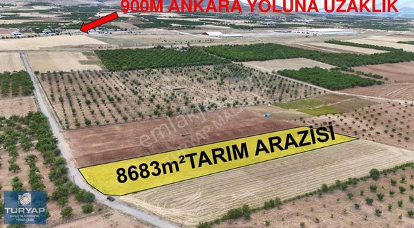 Turyap Metropol'den Elemendikte Satılık Tarla