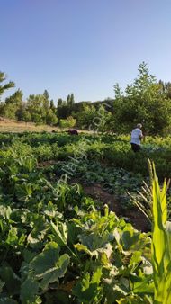 Satılık Ev Bahçe Yapmaya Uygun Yatırımlık Tarla