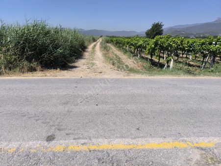 4520 M² Verimli Tarım Arazisi / Yetişmiş Meyvelik Armut Ağacı