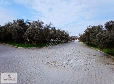 Akkuş Emlak'tan Köşe Arsa