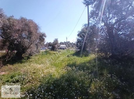 Akkuş Emlak'tan Yol Üzeri Hoby Bahçesi