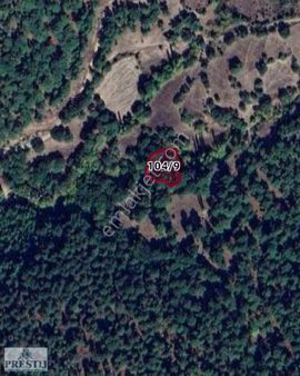 Afyon Prestij Gayrimenkul Çanakkale Bayramiç Köyü Satılık Bahçe