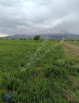 Mustafa Karadan Kızılören De Satılık Parseller !!