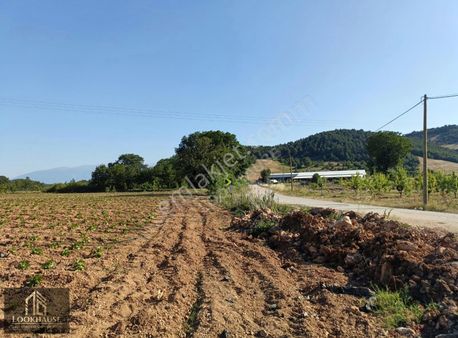 Gürsu Ericek Köyü Satılık Tarla