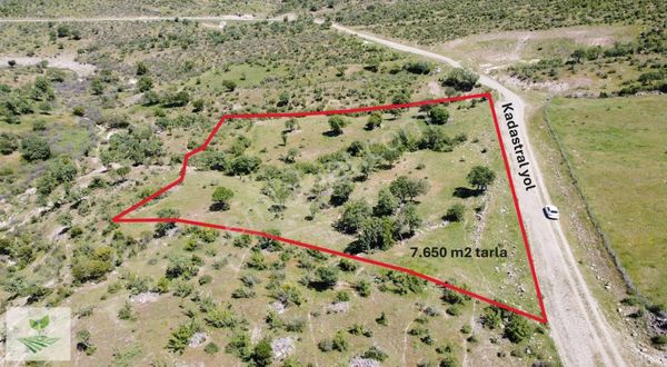 İzmir Bergama Mahmudiye Satılık 7.650 M2 Yolu Olan Tarla