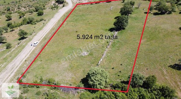 İzmir Bergama Mahmudiye Satılık 5.924 M2 Yolu Olan Tarla