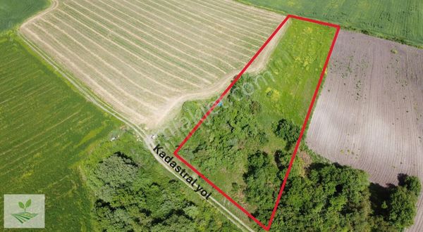 Balıkesir Manyas Kızık Satılık 3.818 M2 Yolu Olan Düz Tarla