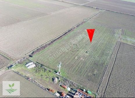 Bergama Ferizler Satılık 12.455 M2 Elektrik,yolu,suyu Olan Tarla
