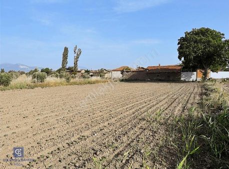 İzmir Bergama Kadıköy Satılık 1.400 M2 Köy İçi Tarla
