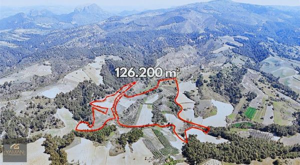 Gördes Boyalı Mahallesi'nde Satılık 126.200 M² Tarla.