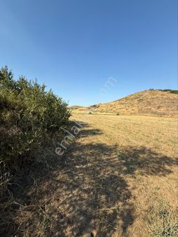 Akyörük Gayrimenkulden Satılık Yatırımcıya Uygun Tarla