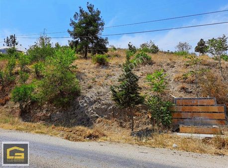 Söğüt-çaltışen Köyünde Ana Yola Cephe Satılık Bahçe/tarla