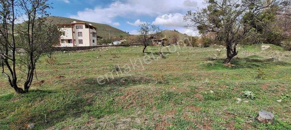 Emlak Ofisimden Güneşli De 1860 M2 Yatırımlık Bağ