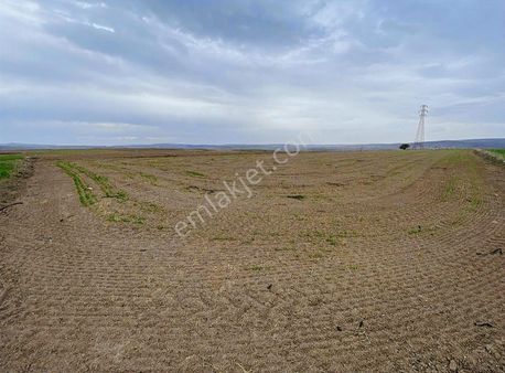 Emlak Ofisimden Mahzemin'de Tek Tapu Tarla 7.460 M2