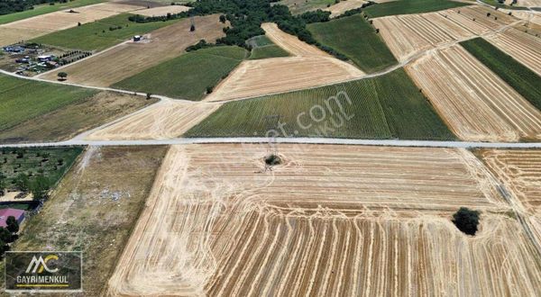 Acill Satılık 16.600 M2 Tek Tapu Tarla