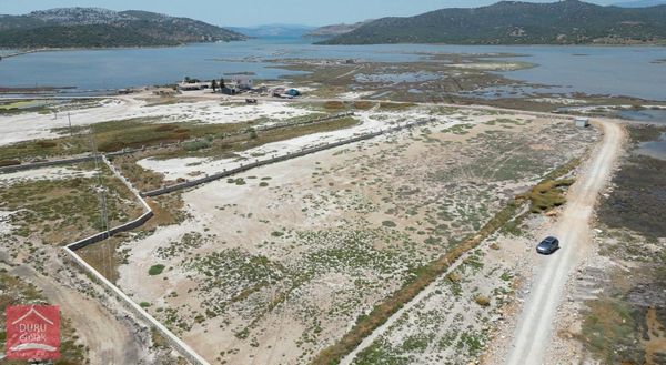 Milas Dörttepe'de Bodrum Milas Karayoluna 1km Mesafede 11d Tarla