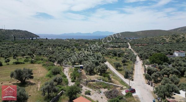 Muğla Milas Çökertme'de Anayola Cephe Denize 1km. Mesafede Arazi