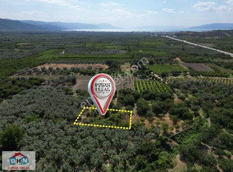 Duhan Emlak'tan İznik Çiçekli'de 715m2 Meyve Bahçesi