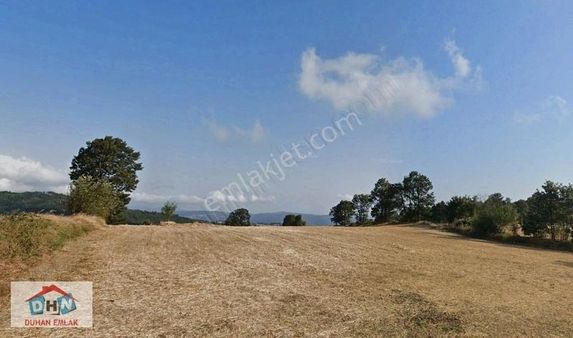 Duhan Emlak'tan Kepsut Serçeören Köy Asfaltına Cephe 9.158m2