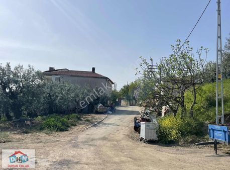 Duhan Emlak'tan Yeniköy'de Full İznik Gölü Manzaralı 6.094m2