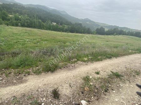 Denizli Honaz Aydınlar 19000 M2 Arazimiz Satılıktır