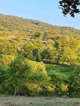 Balıkesir Susurluk Ekinlik Köyü 4820 Metre Tek Tapu Acil!!