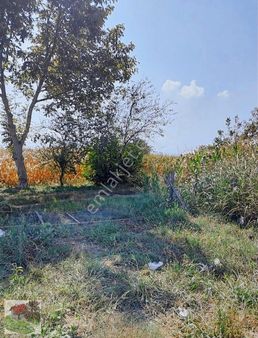 Sakaryada Satılık Tarla