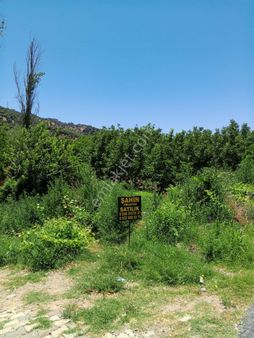 Nazilli Şahin Emlaktan Sailer Mh Satılık Tarla