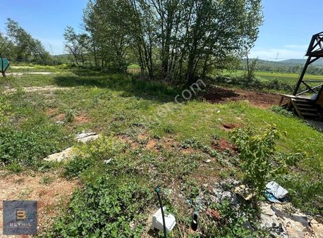 Beynil'den Nilüfer Unçukurun Da Satılık Hobi Bahçesi