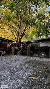 Alaaddin Beyde Satılık Full Eşyalı Hobi Bahçesi