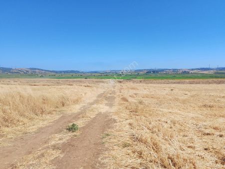 Çanakkale Biga Bekirli Mahallesinde Satılık Tarla Yatırım İçin Uygun