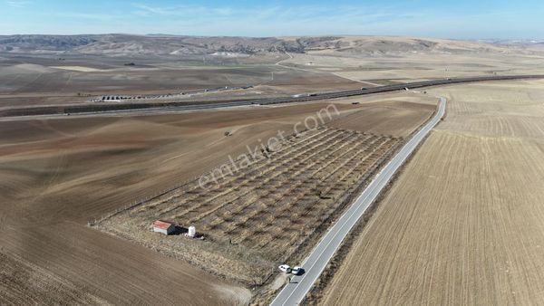Ahmetçayırında Asfalta Cephe Tek Tapu Ceviz Bahçesi Karadeniz Em