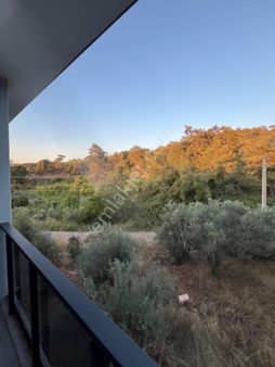 Falcon Dan Bozyer De Fırsat Arsa