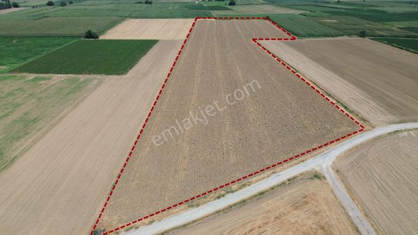 İzmir Tire Karateke'de Satılık Verimli Tarla